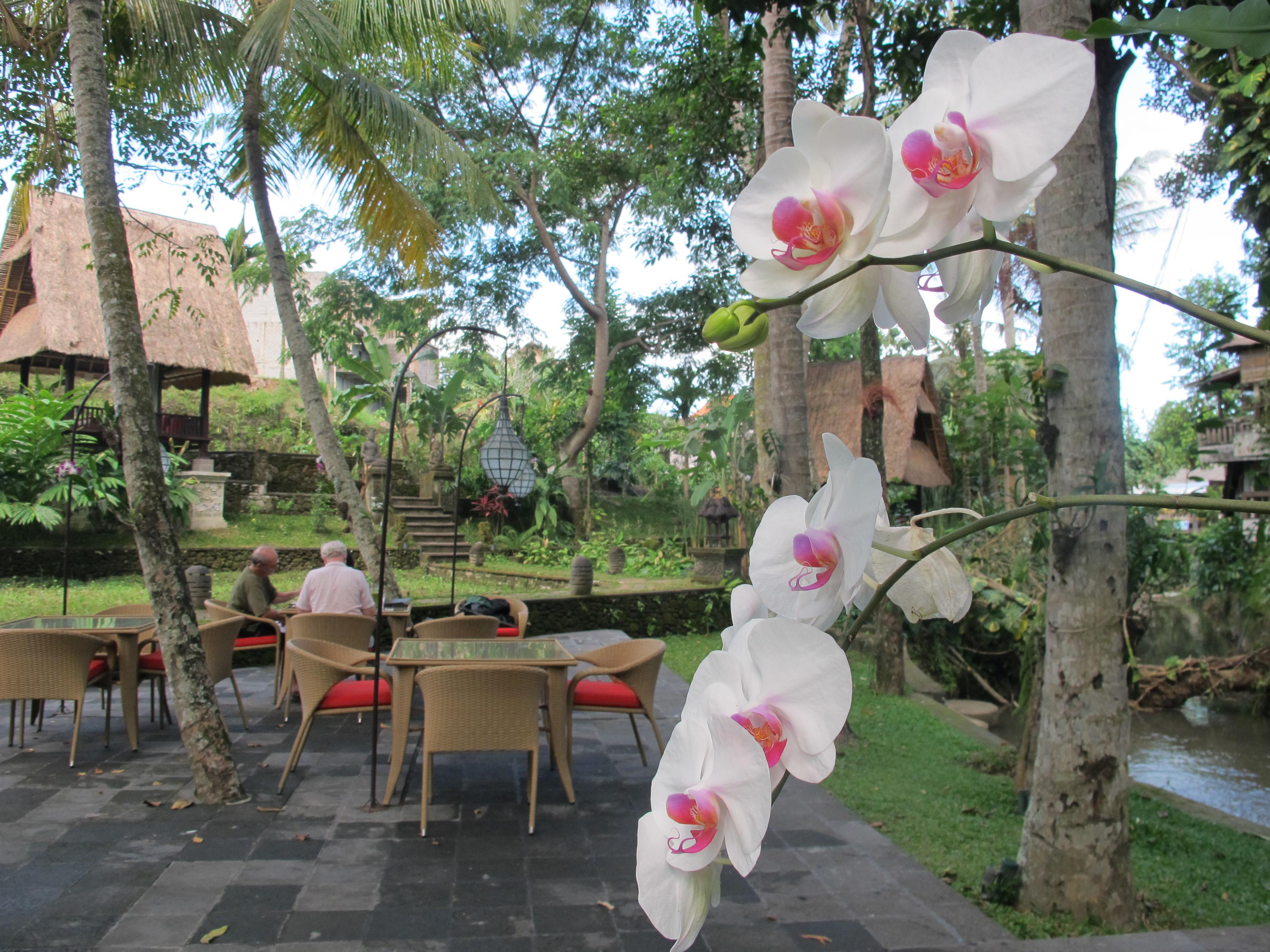 Arma Museum & Resort Ubud Dış mekan fotoğraf