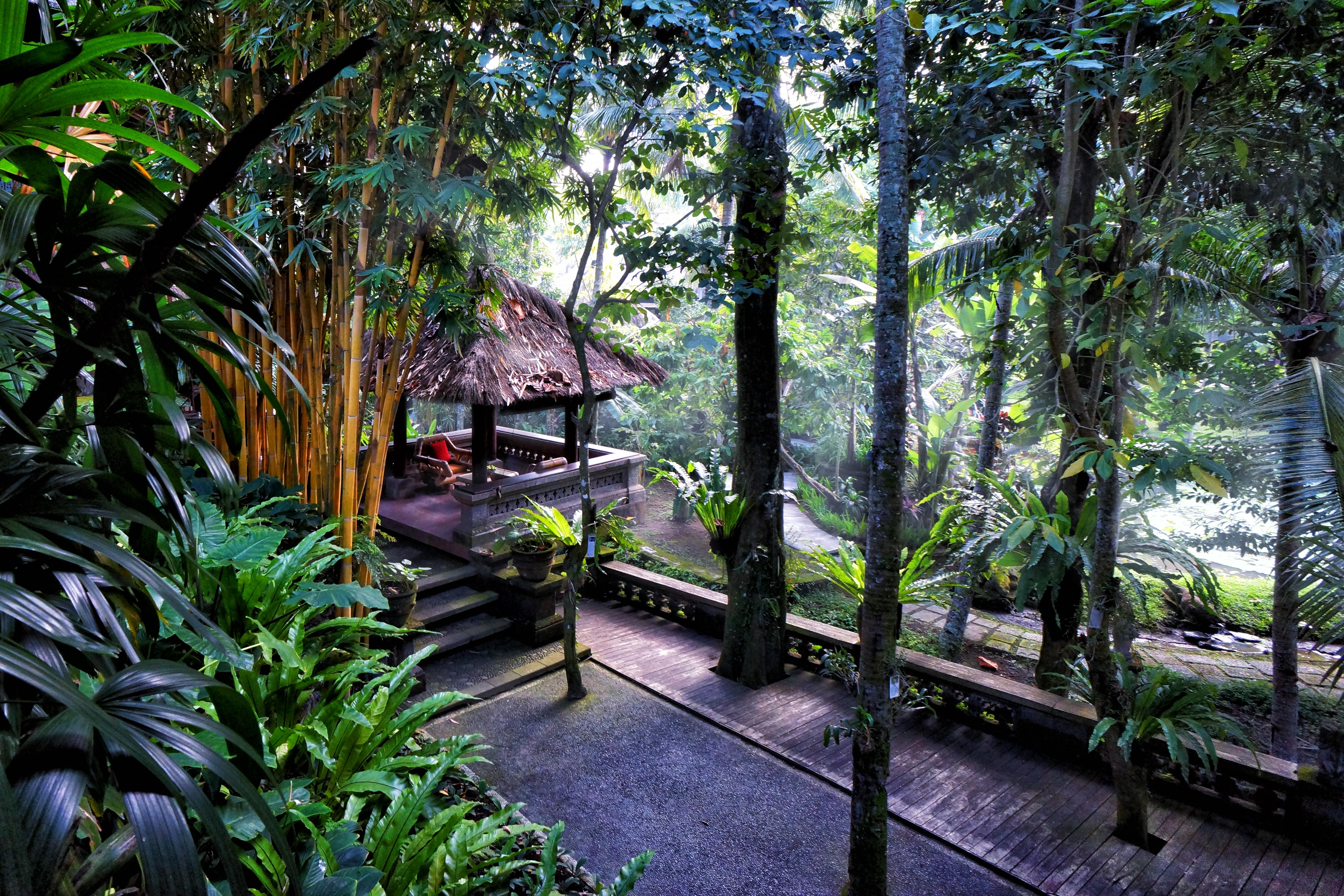 Arma Museum & Resort Ubud Dış mekan fotoğraf